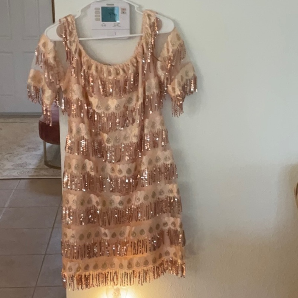 Glamorous Sequin Fringe Dress